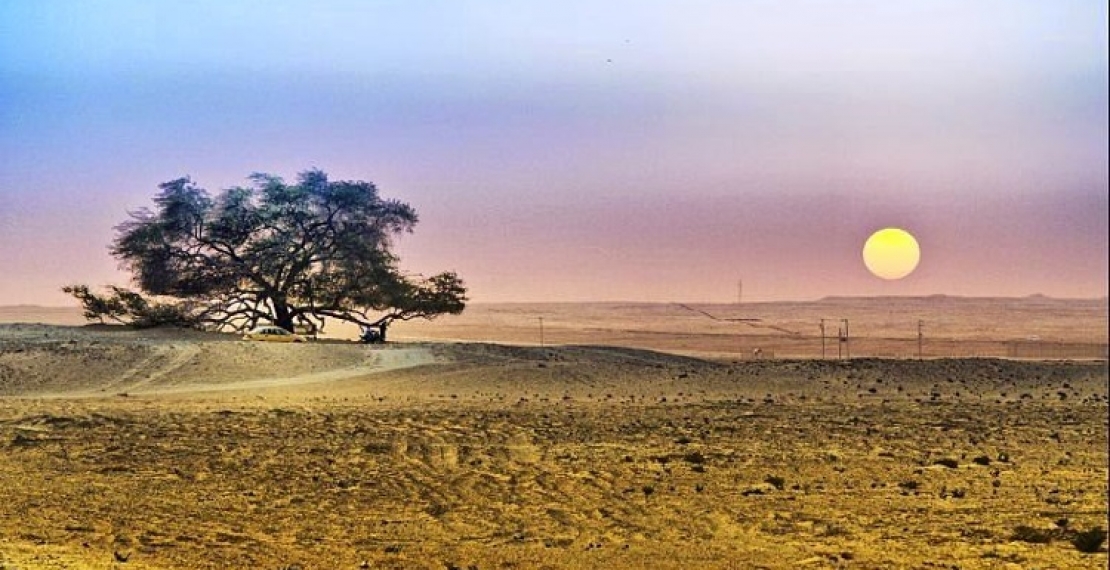 Drzewo życia - Sharajat-al-Hayat