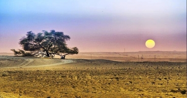 Drzewo życia - Sharajat-al-Hayat