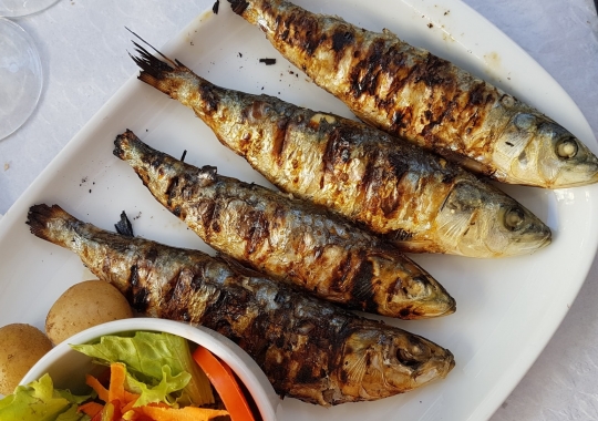 Gdzie zjesz najlepszą rybę w Szczecinie i okolicach?